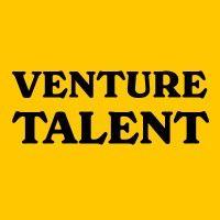 venture talent logo image