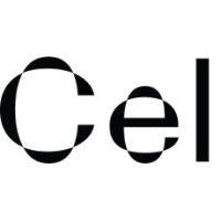 cel ai plc logo image