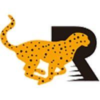 shenzhen rirob tech co., ltd. logo image