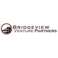 bridgeview venture partners logo image