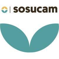 sosucam (société sucrière du cameroun)