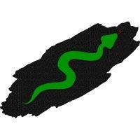 little green viper software development llc logo image