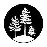 the pine project logo image