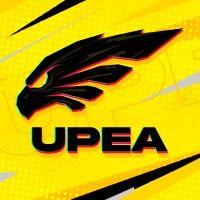 ukrainian professional esports association