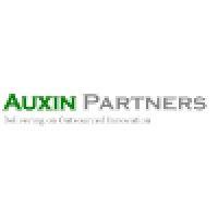 auxin partners, llc