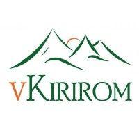 vkirirom pte. ltd. logo image