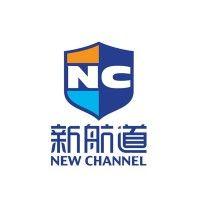 new channel international education group logo image