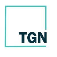 tgn consulting llc logo image