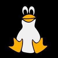 linux logo image