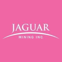 jaguar mining inc. logo image