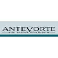 antevorte performance management gmbh & co. kg logo image