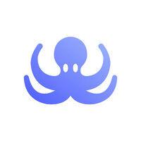 octosource ltd logo image