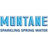 montane sparkling spring water logo image