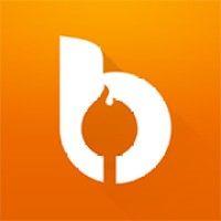 bonfyre logo image