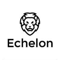 the echelon group | lion gate real estate logo image