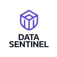 data sentinel inc. logo image