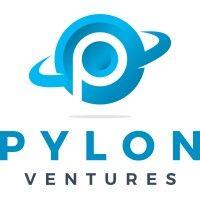 pylon ventures llc logo image