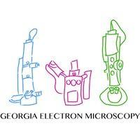 georgia electron microscopy logo image