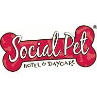 social pet hotel and daycare logo image