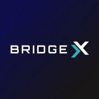 bridgex network logo image