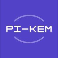 pi-kem ltd logo image