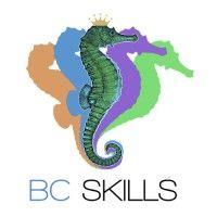 bc skills group logo image