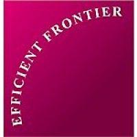 efficient frontier consulting logo image