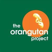 the orangutan project