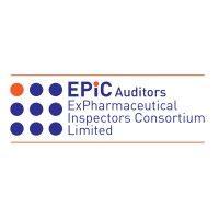 epic auditors logo image