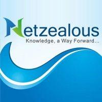 netzealous logo image