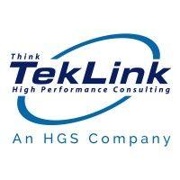 teklink international llc logo image