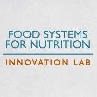 feed the future food systems for nutrition innovation lab logo image