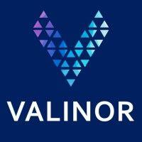 valinor pharma logo image