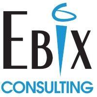 ebix consulting (formerly vertex, inc.)