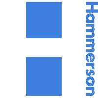 hammerson logo image