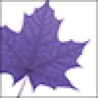 wilfrid laurier university alumni logo image