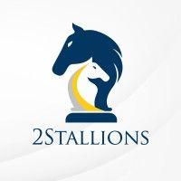 2stallions digital marketing agency logo image