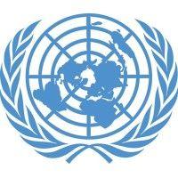 un in washington logo image