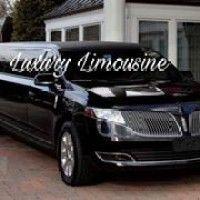 luxury limousine