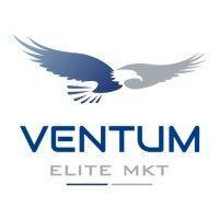 ventum marketing logo image