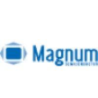 magnum semiconductor logo image