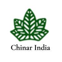 chinar india logo image