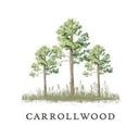 logo of Carrollwood Capital Management