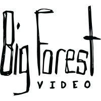 big forest video (official) logo image