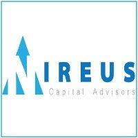 nireus capital advisors logo image