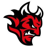 cardiff devils ice hockey club logo image