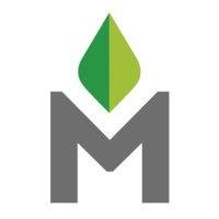 mentha logo image