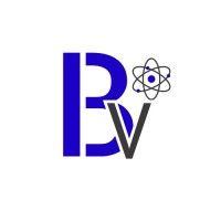 berutti vis llc logo image