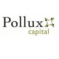 pollux capital logo image