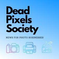 the dead pixel society logo image